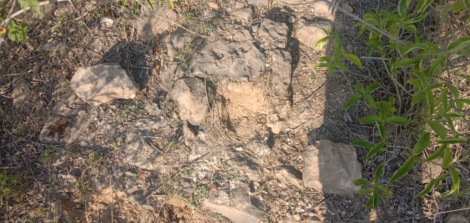 Batala: exposed stonework