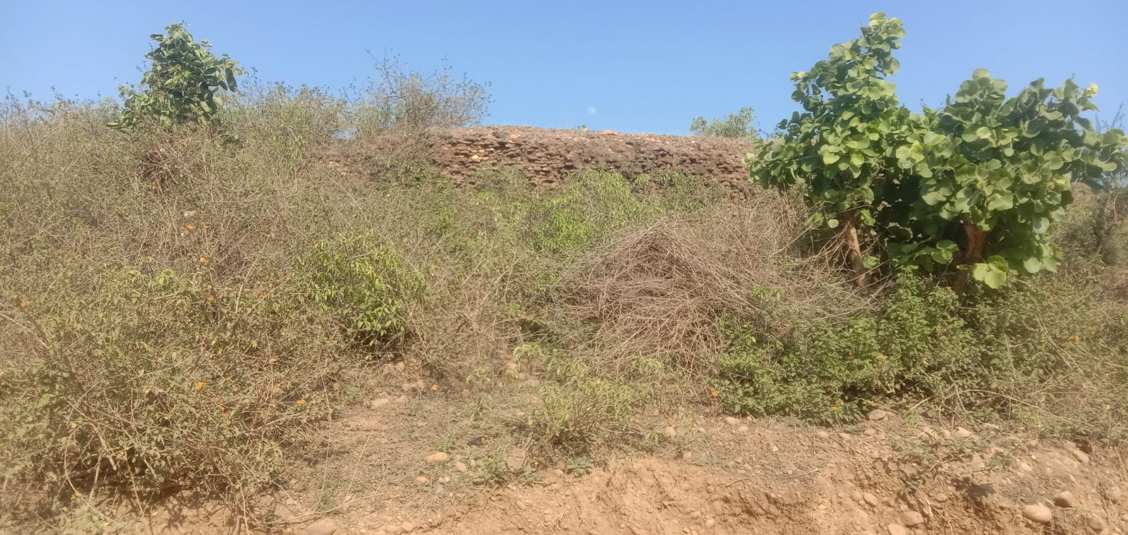 Batala: masonry along the slope