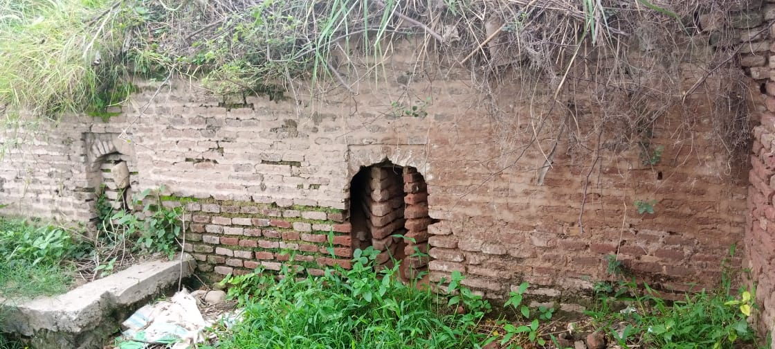 Padhar: surviving brick wall and loopholes